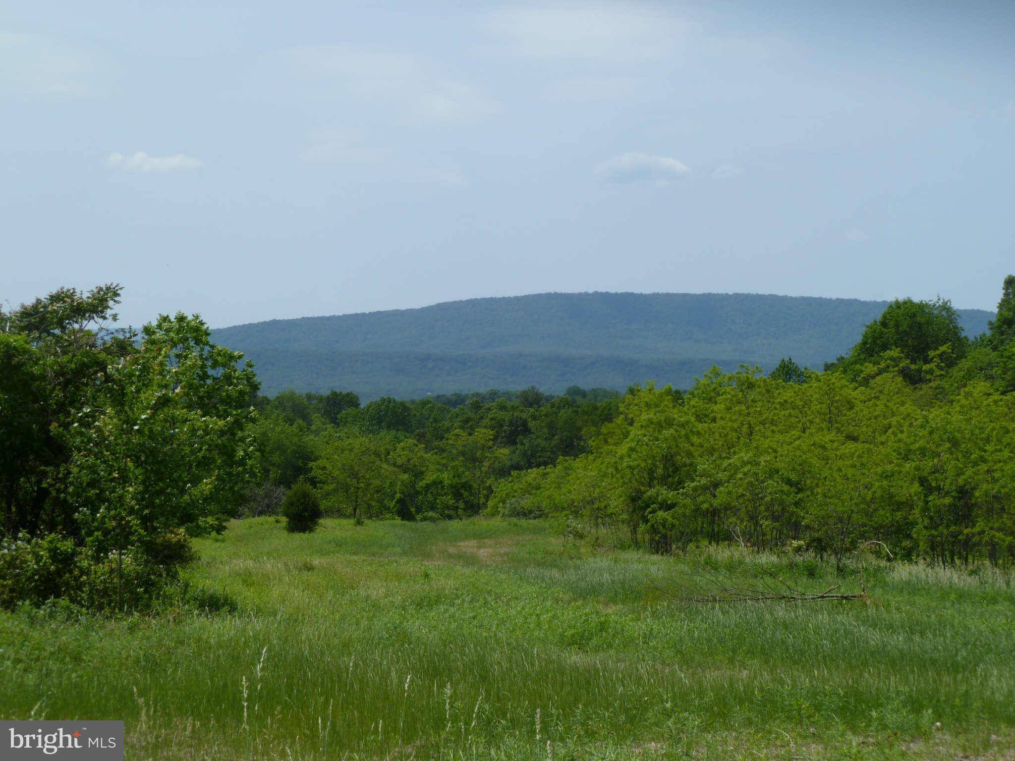 Paw Paw, WV 25434,MAGNOLIA