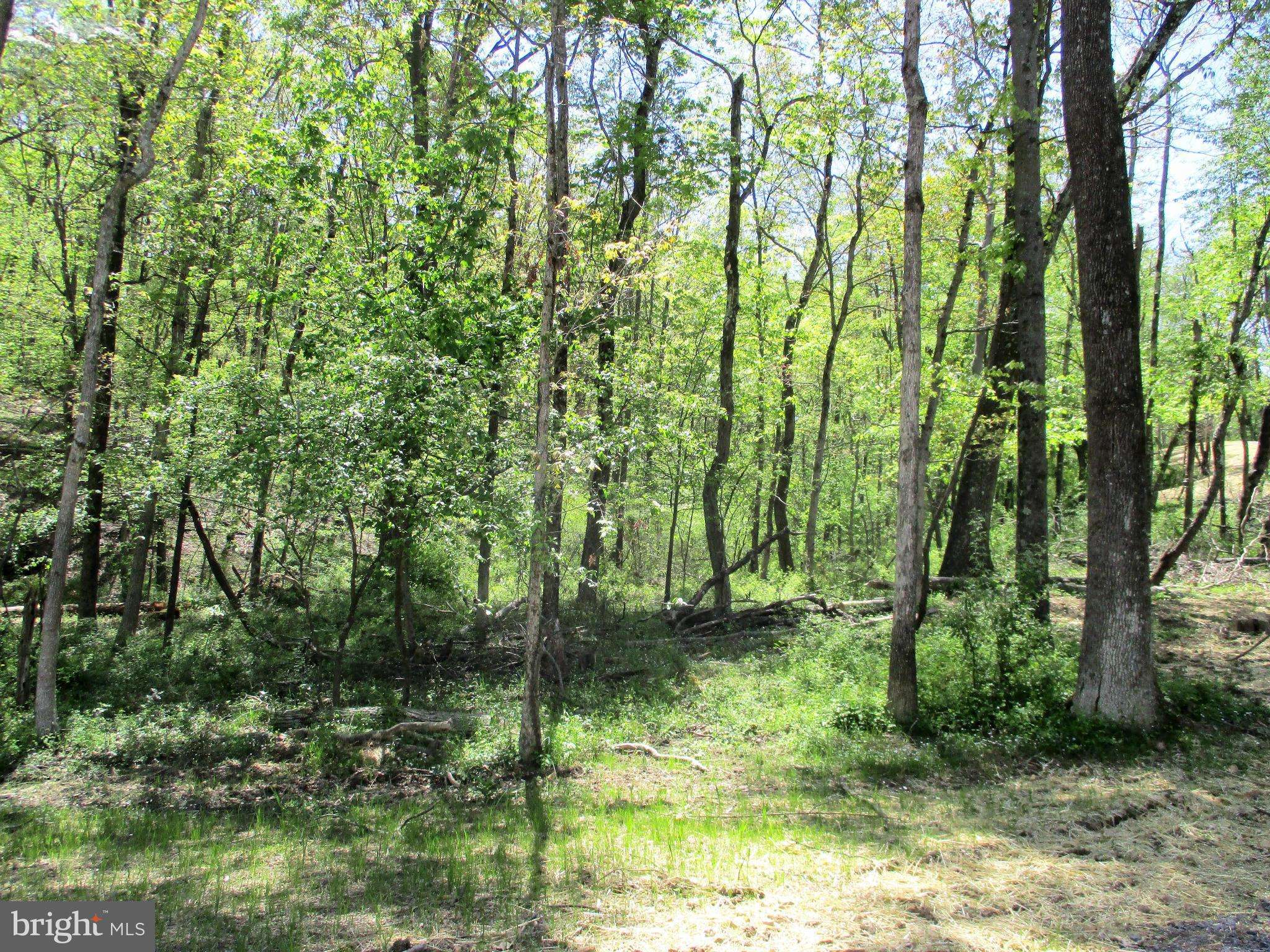 Berkeley Springs, WV 25411,LOT A ELM RIDGE DR