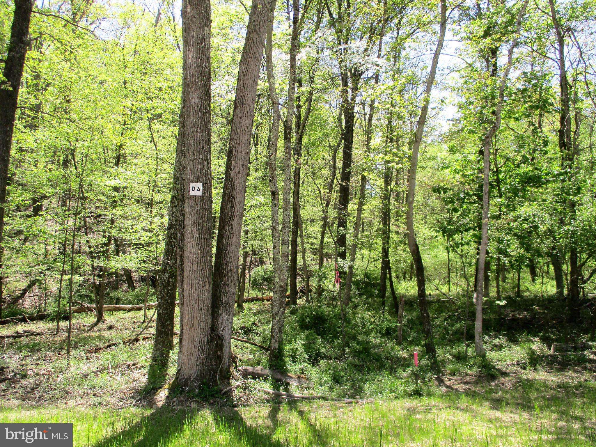 Berkeley Springs, WV 25411,LOT A ELM RIDGE DR