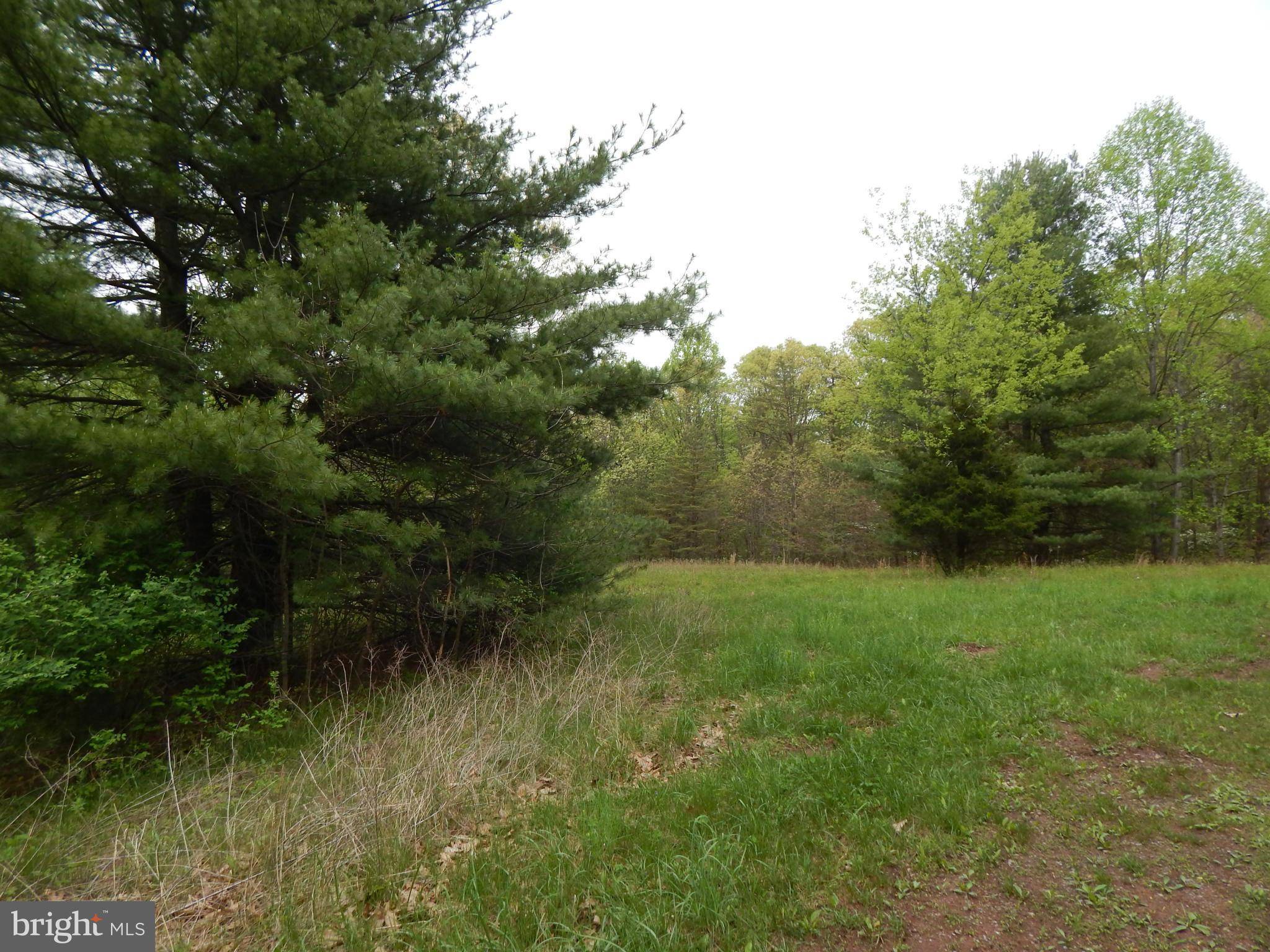 Hedgesville, WV 25427,LOT 15 SCHOOLHOUSE WAY