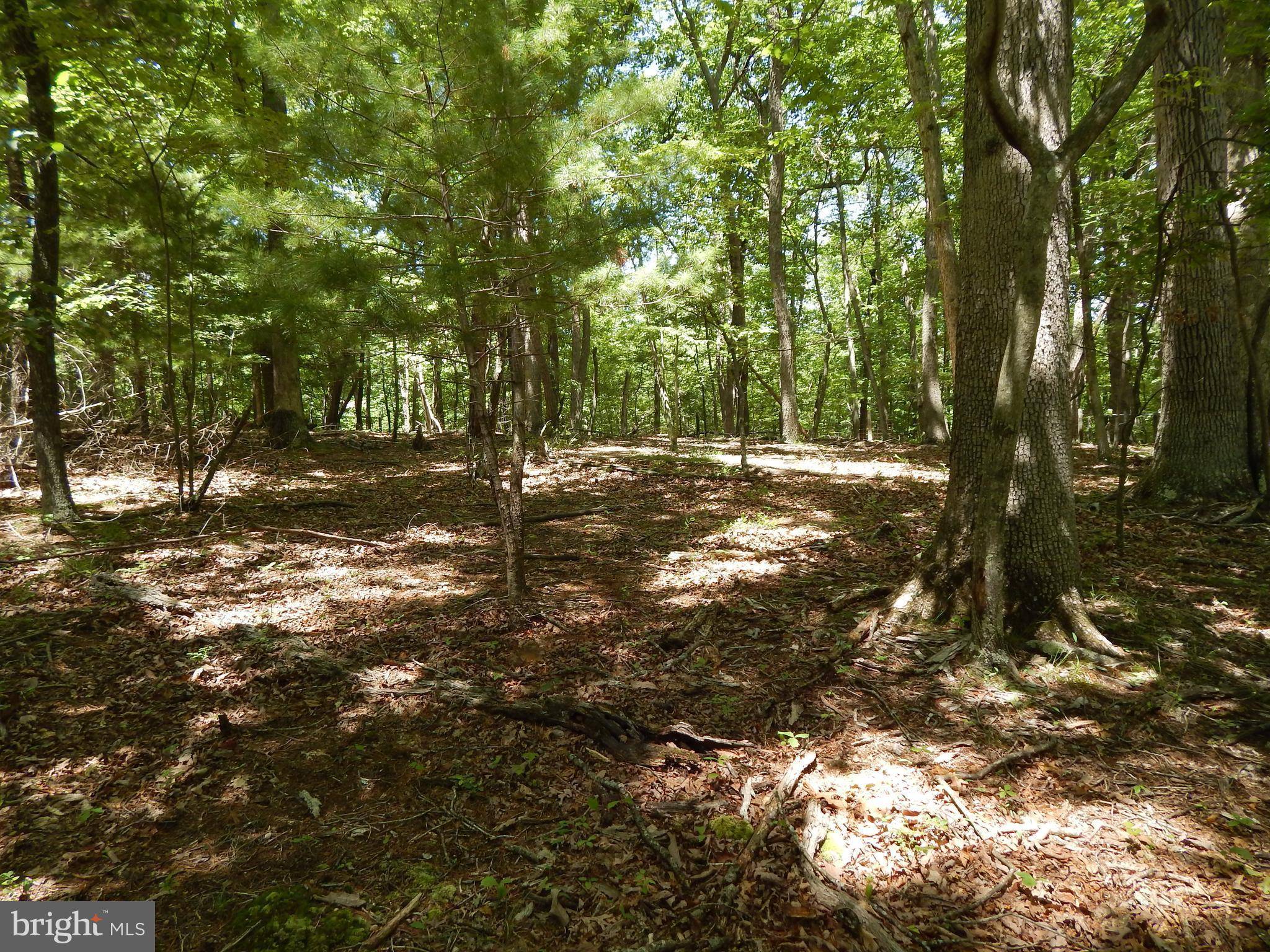 Berkeley Springs, WV 25411,LOT 10 FARSIDE LANE