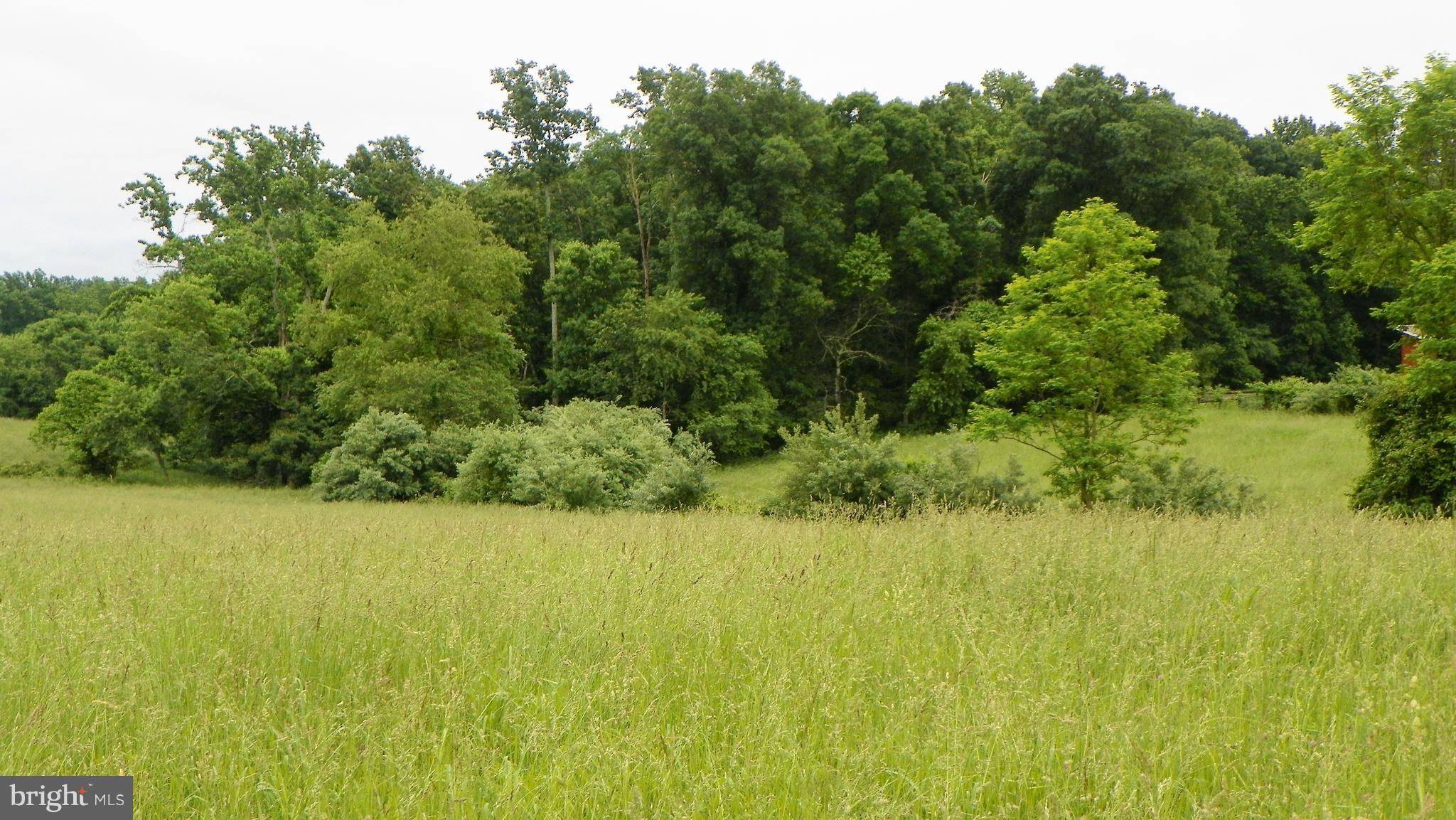 Amissville, VA 20106,FORGOTTEN CREEK LN