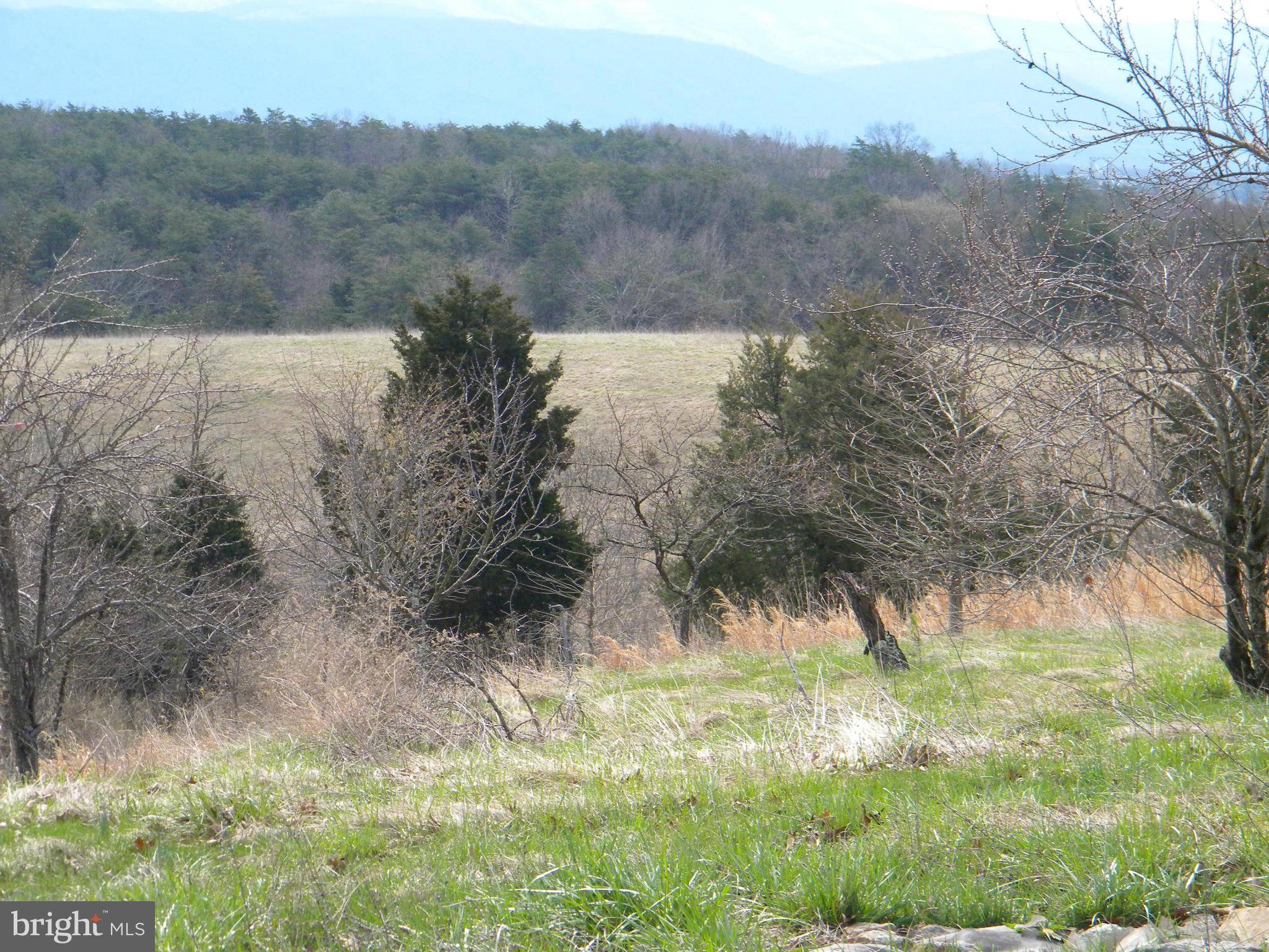 Old Fields, WV 26845,1132 SHOCKEY ROAD