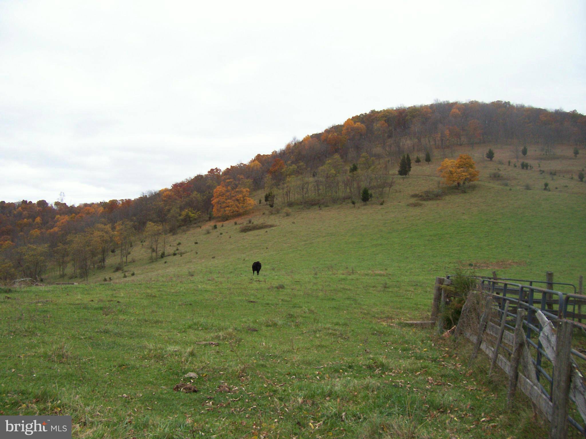 Old Fields, WV 26845,0 OLD FIELDS RD