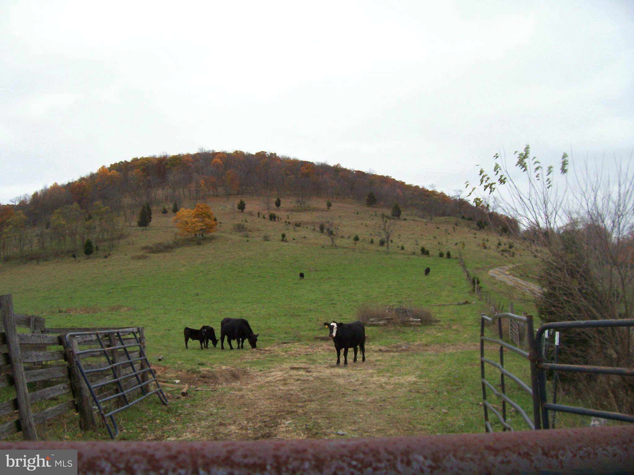 Old Fields, WV 26845,0 OLD FIELDS RD