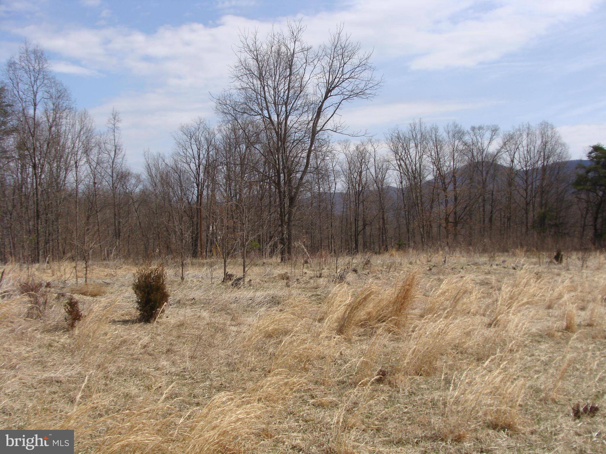 Old Fields, WV 26845,21 HICKORY LOOP