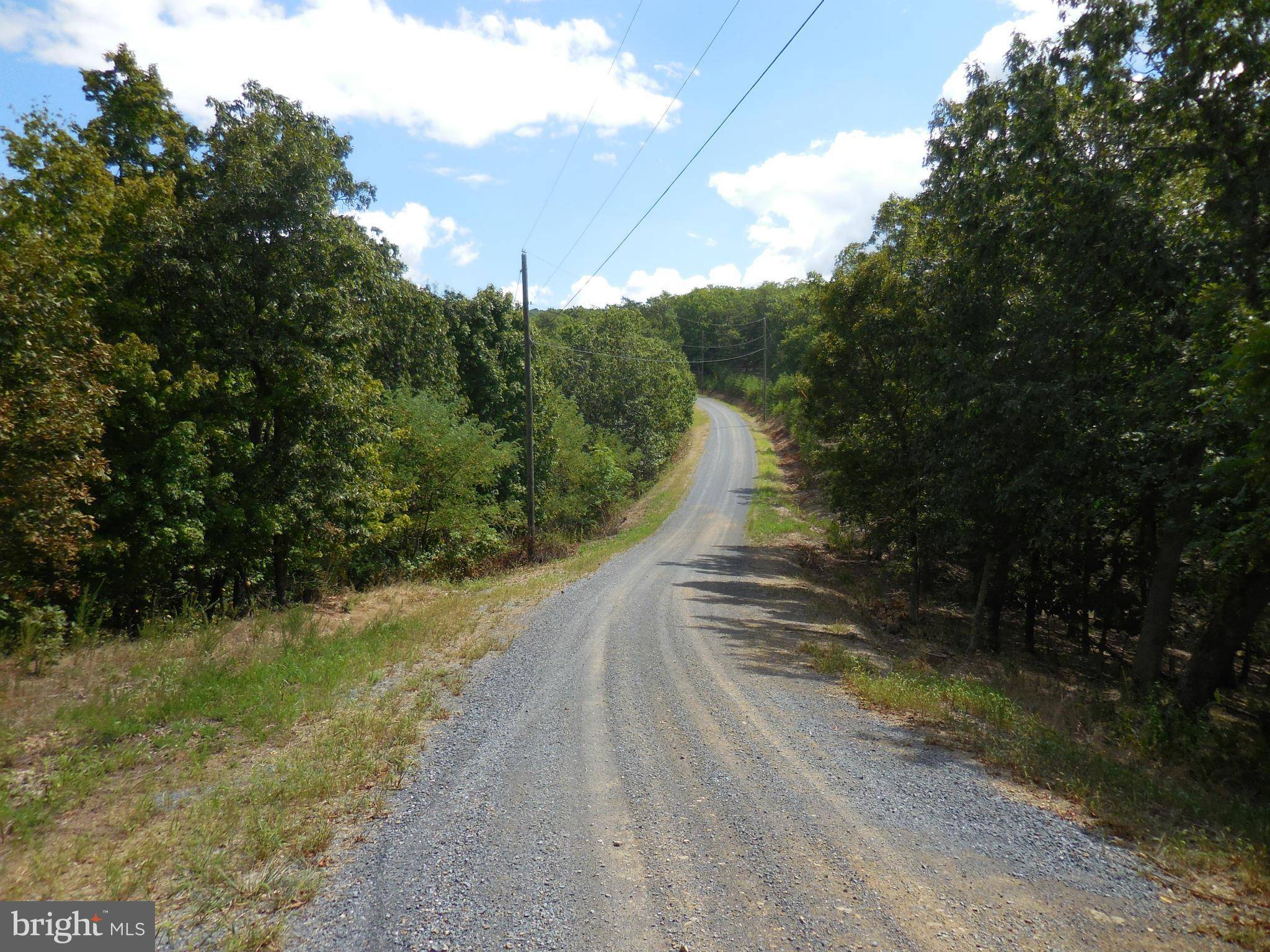 Romney, WV 26757,THISTLE RIDGE RD