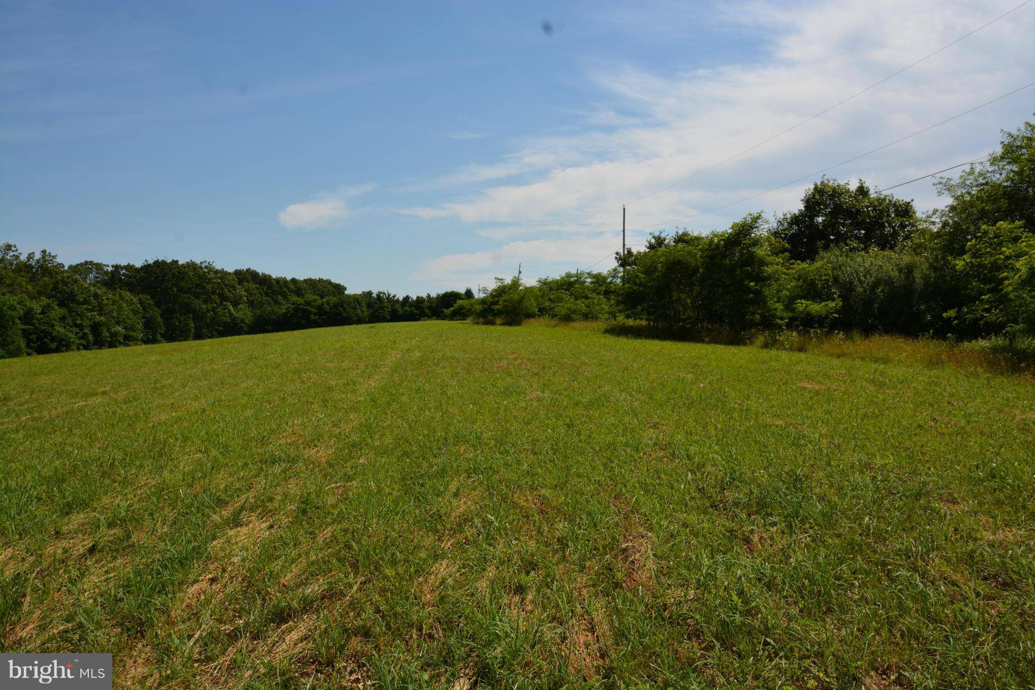 Capon Bridge, WV 26711,11 ACRES TIMBER RIDGE RD-RT