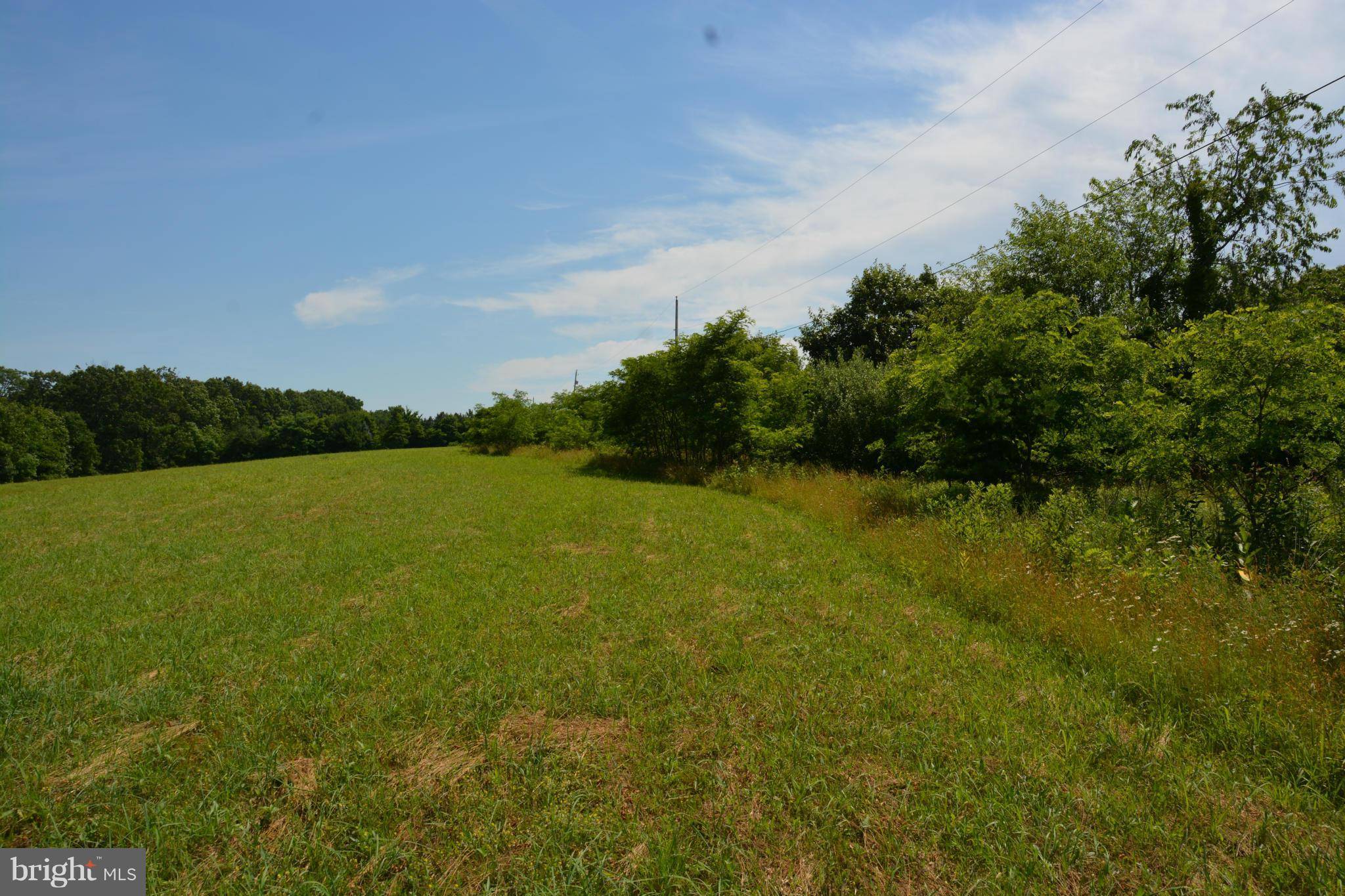 Capon Bridge, WV 26711,11 ACRES TIMBER RIDGE RD-RT