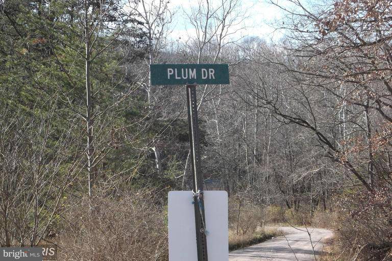 Romney, WV 26757,STONEY MOUNTAIN OVERLOOK