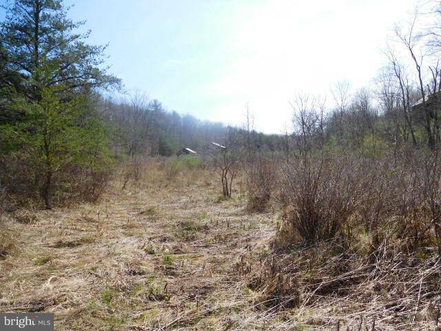 Augusta, WV 26704,LOT 15 BELL HOLLOW ESTATES