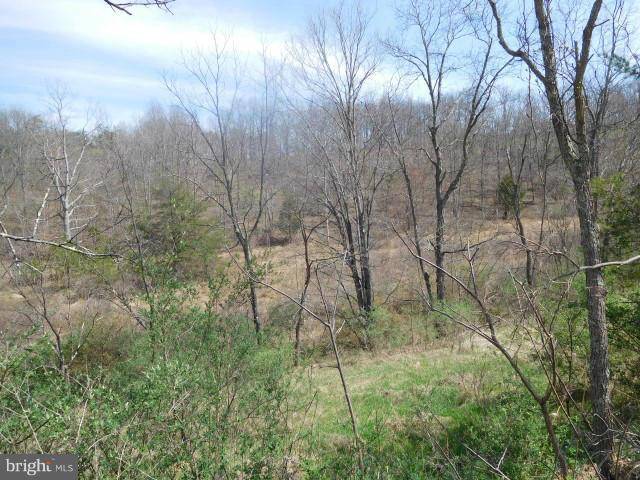 Augusta, WV 26704,LOT 15 BELL HOLLOW ESTATES