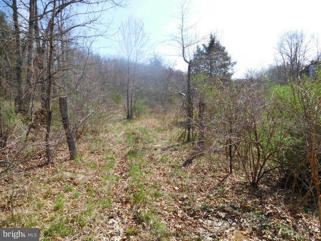 Augusta, WV 26704,LOT 15 BELL HOLLOW ESTATES