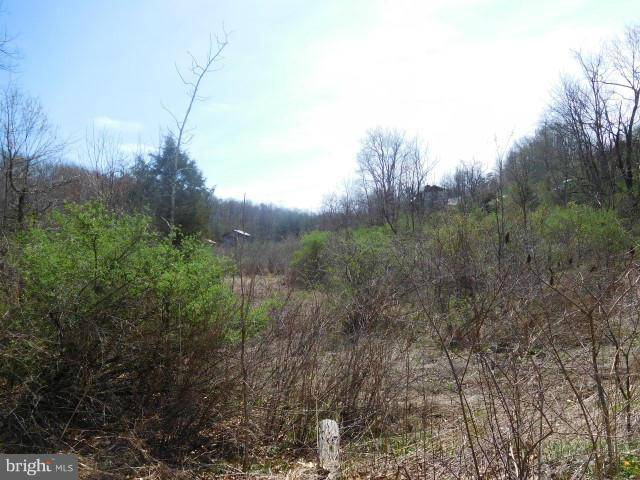 Augusta, WV 26704,LOT 15 BELL HOLLOW ESTATES