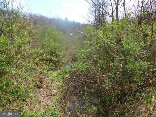 Augusta, WV 26704,LOT 15 BELL HOLLOW ESTATES