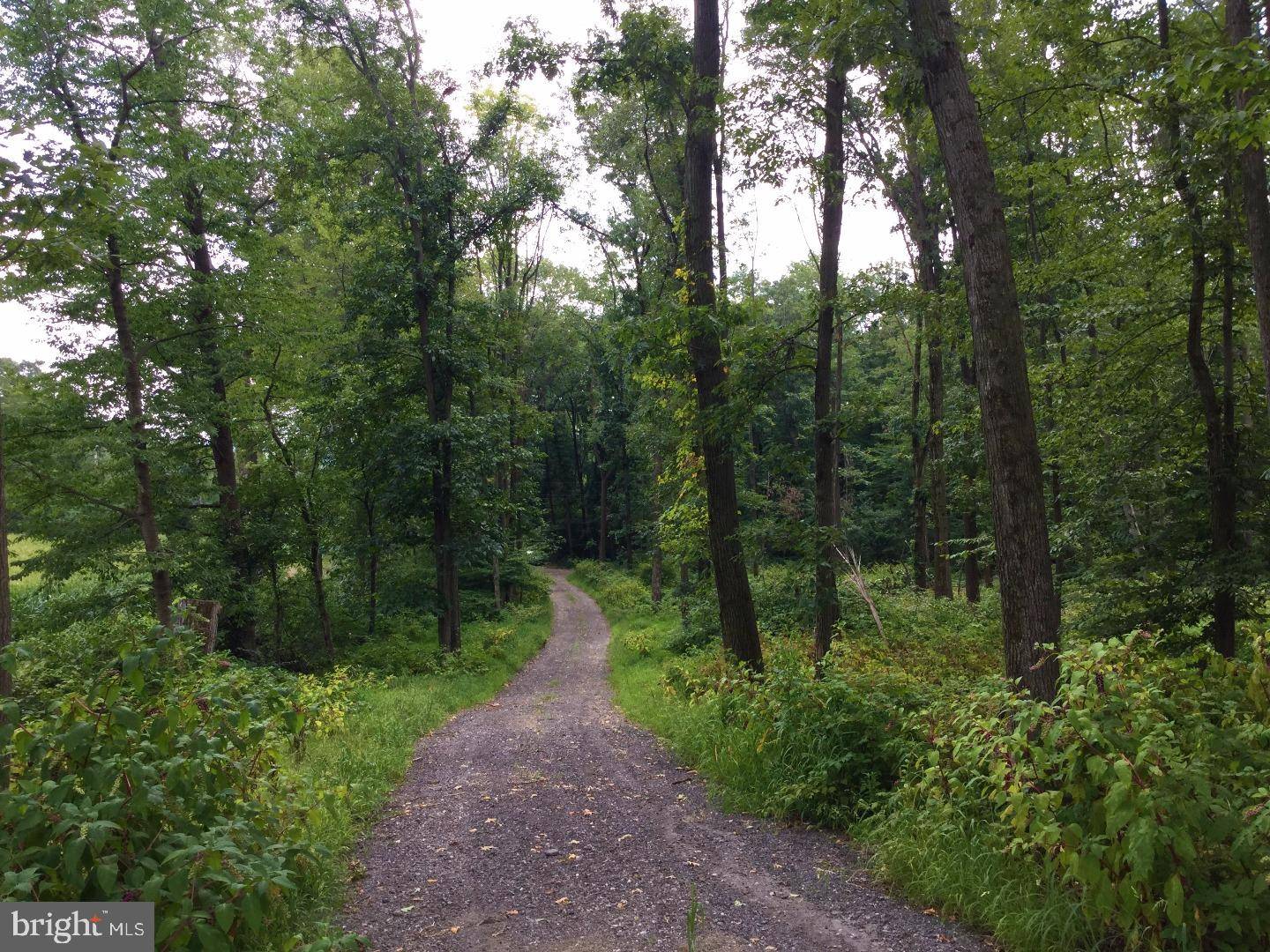 Bernville, PA 19506,L:8752 FORGE DAM RD