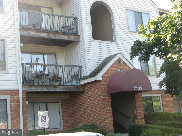 Manassas, VA 20110,9565 BATTERY HEIGHTS BLVD #303