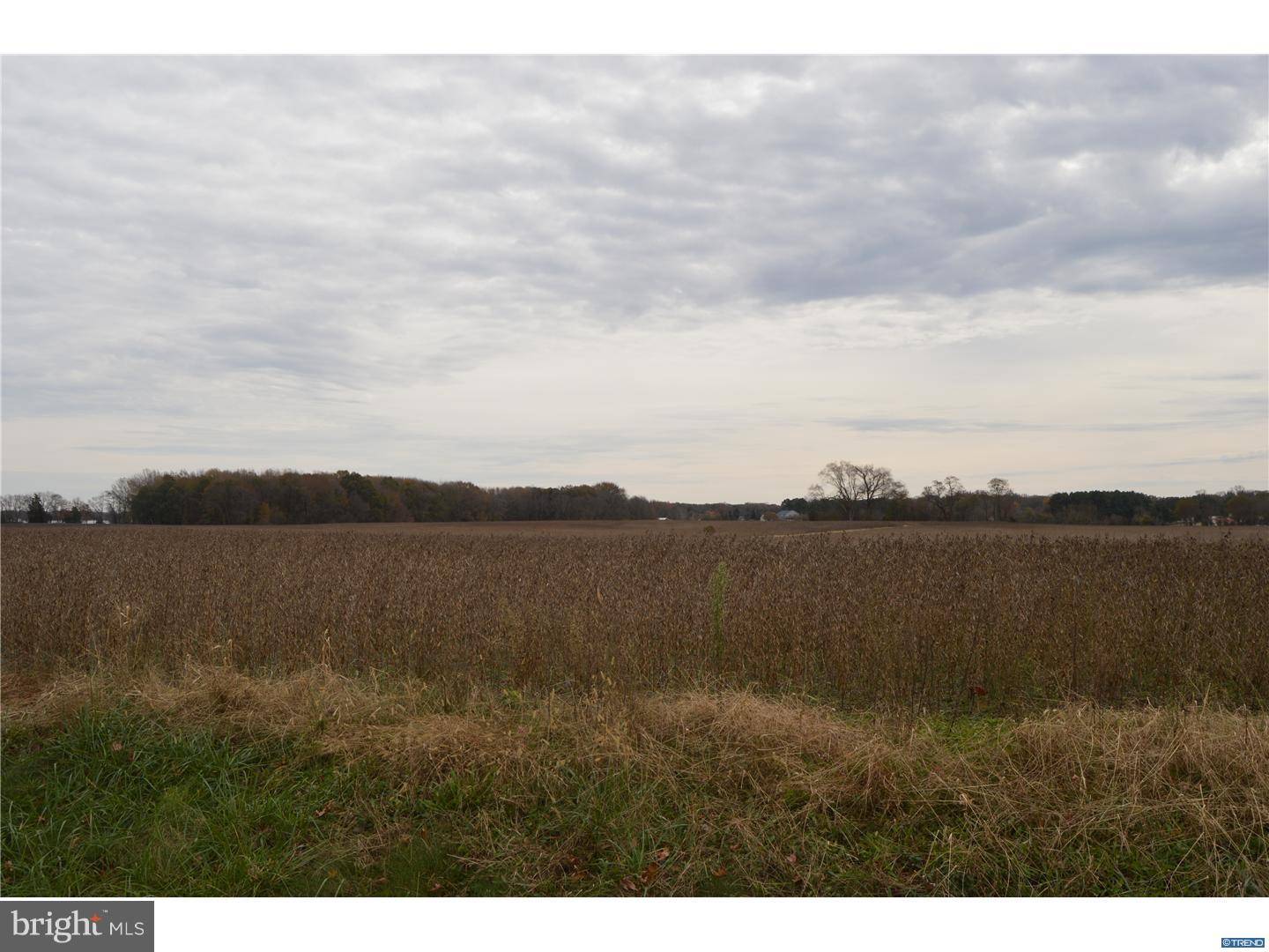 Marydel, DE 19964,44 ACRES HALLTOWN RD