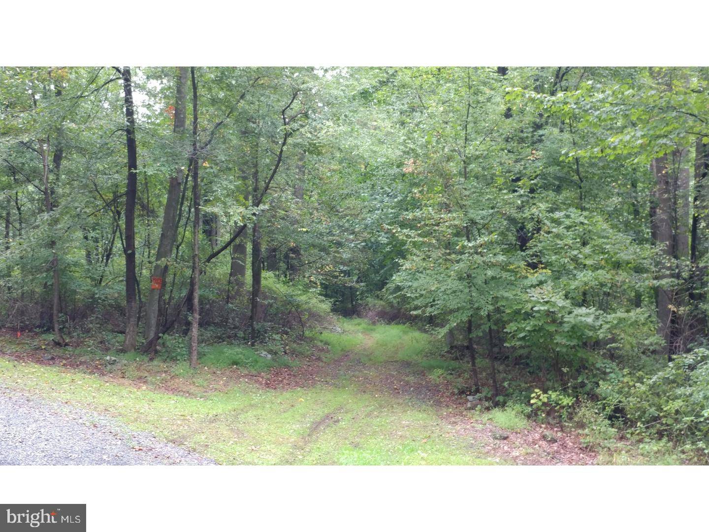 East Greenville, PA 18041,LOT #2 COUNTY LINE RD