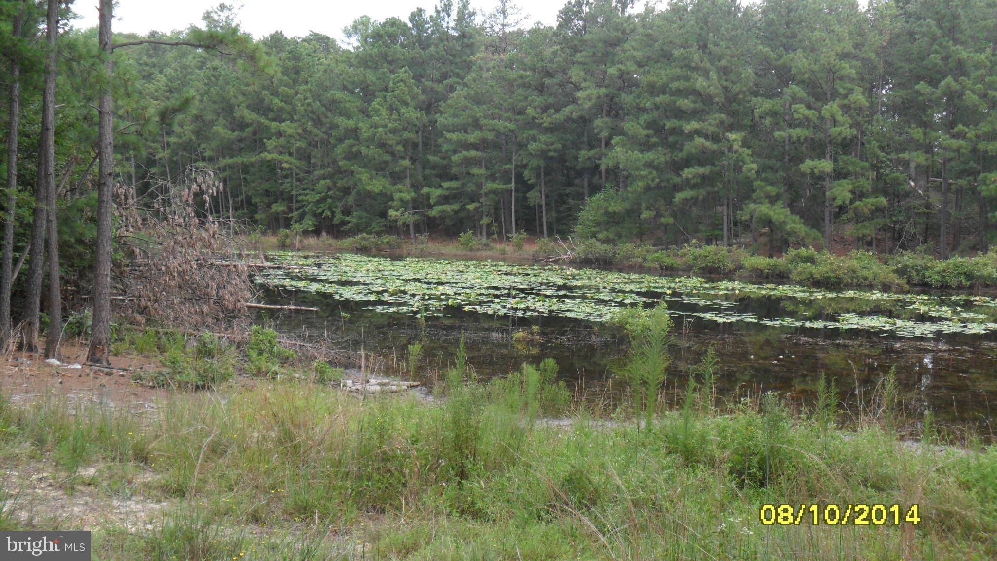 Bowling Green, VA 22427,NOT ON FILE