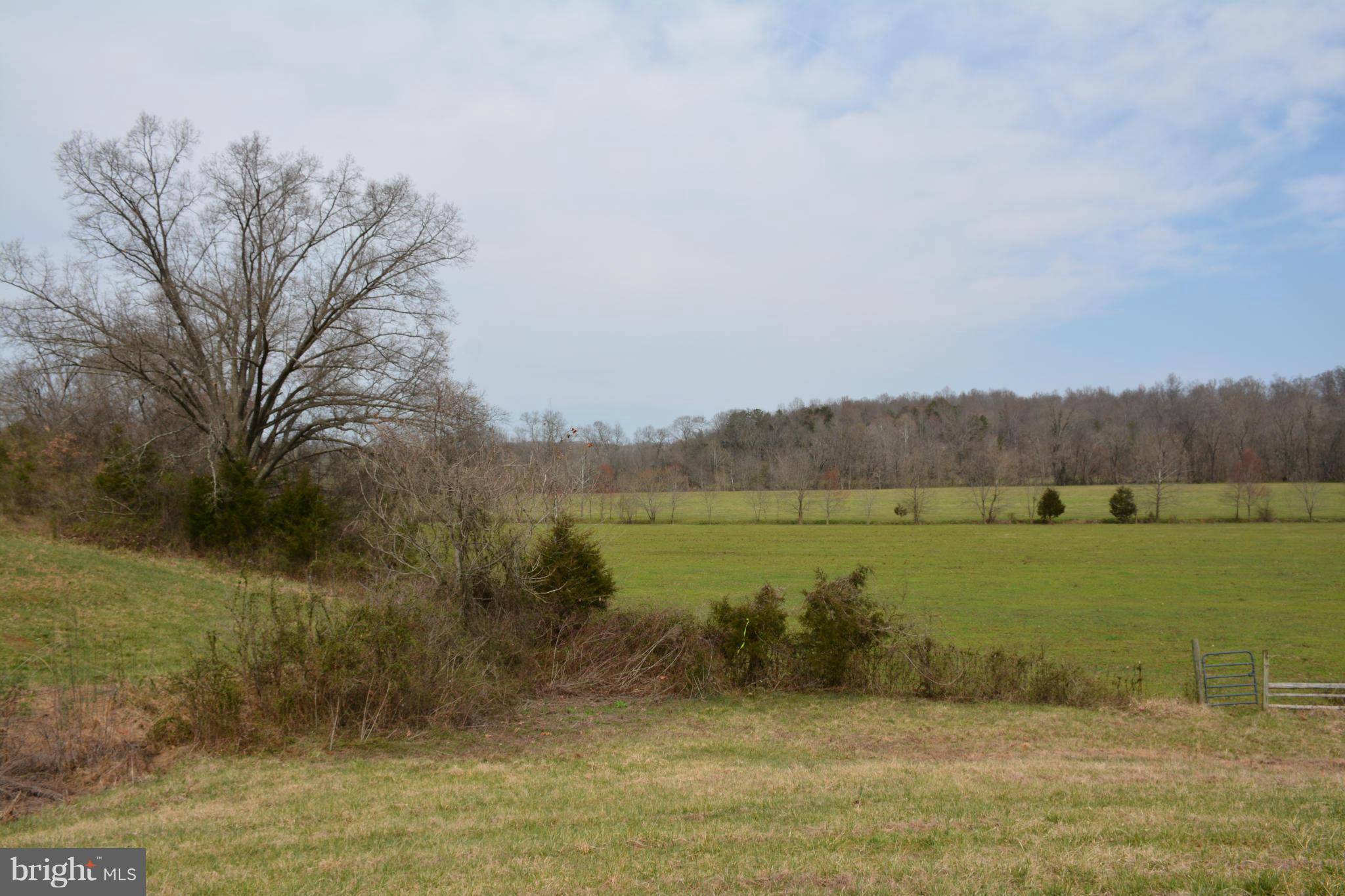 Locust Dale, VA 22948,OAK PARK ROAD