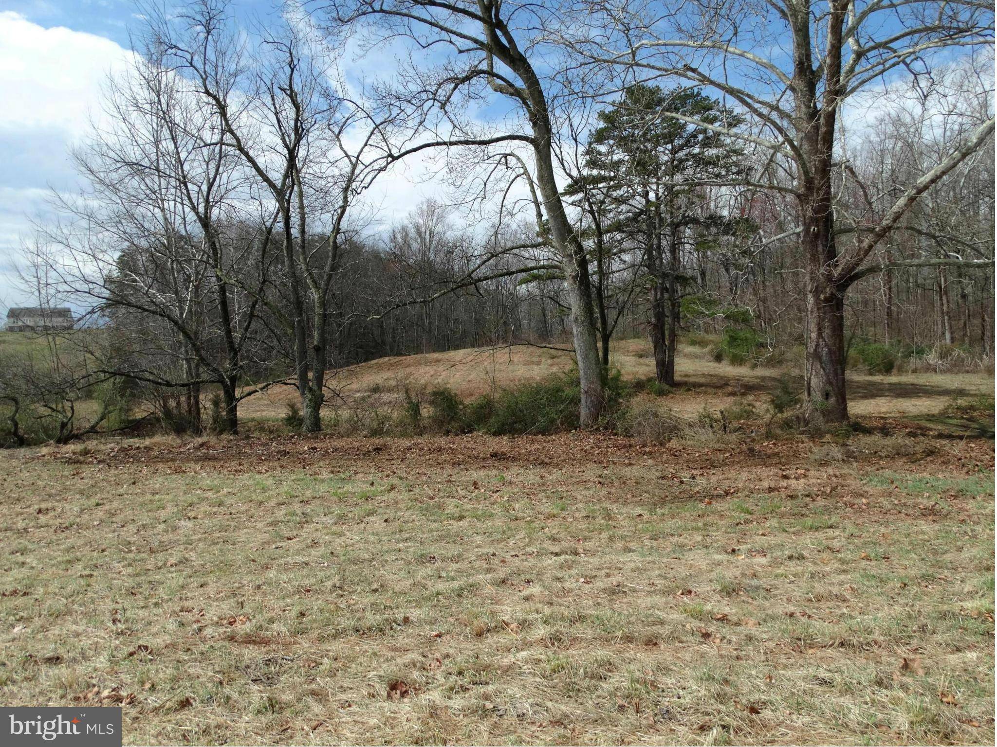 Reva, VA 22735,REVA FARMS LN