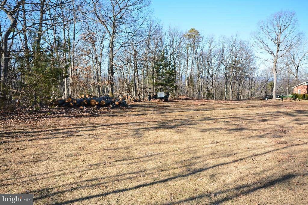 Strasburg, VA 22657,0 LOT 17 LOWER VIEW RD