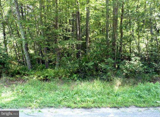 Colonial Beach, VA 22443,LOT 12 FOREST GROVE