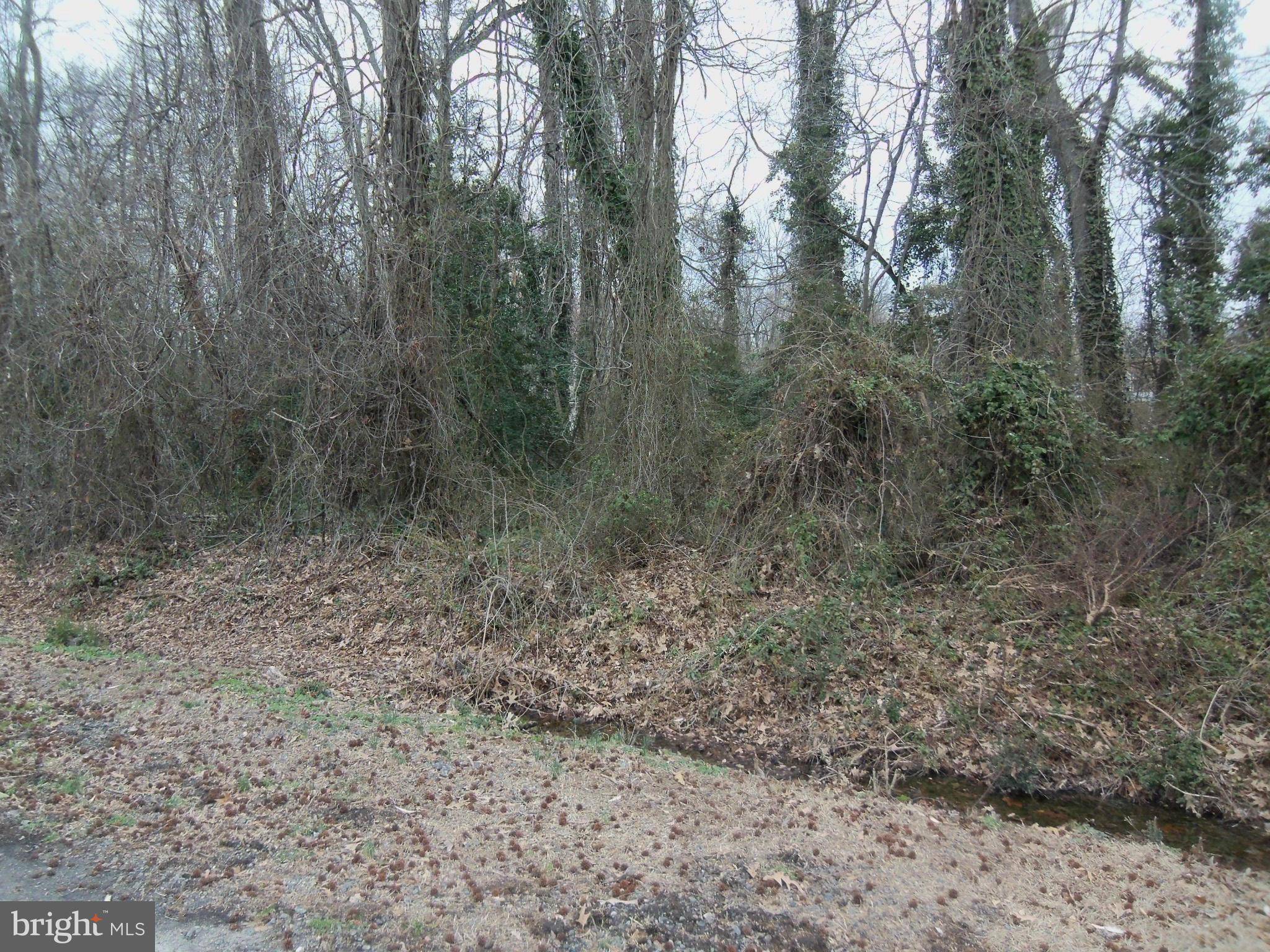 Colonial Beach, VA 22443,NOT ON FILE