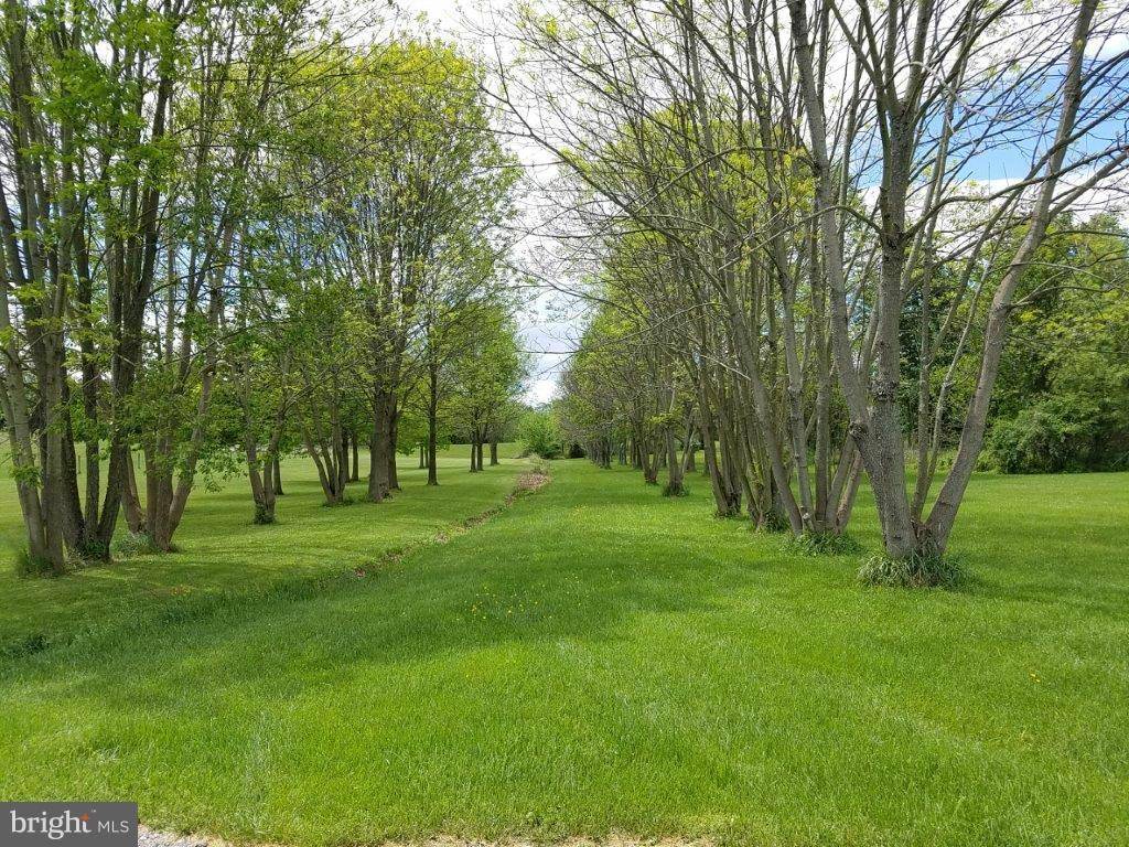 Sykesville, MD 21784,LOT 1 FIREFLY DR