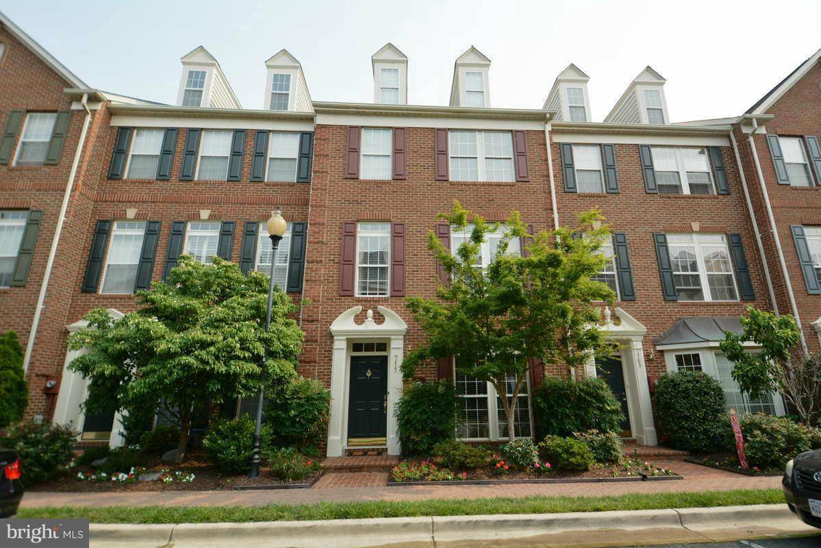 Alexandria, VA 22314,711 SCARBURGH WAY