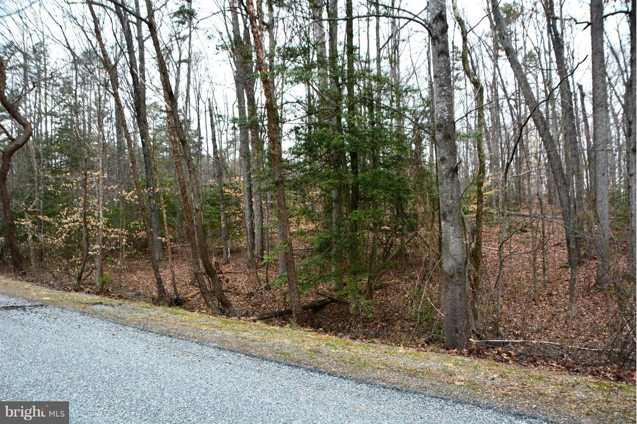 Mineral, VA 23117,LOT 47 LAKEWOOD CIRCLE