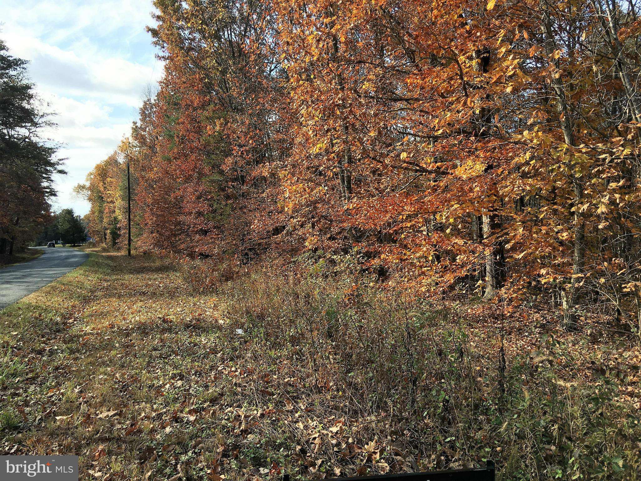 Louisa, VA 23093,VALENTINE MILL RD