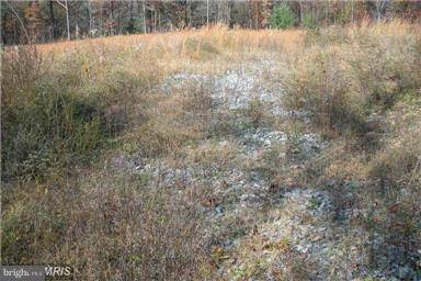 Hedgesville, WV 25427,LOT 2 B CANNON HILL RD