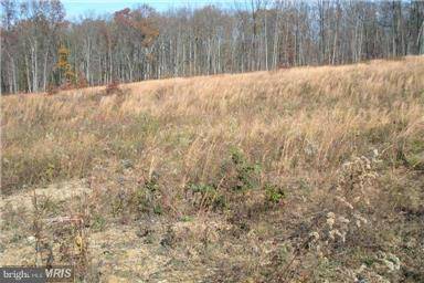 Hedgesville, WV 25427,LOT 2 B CANNON HILL RD