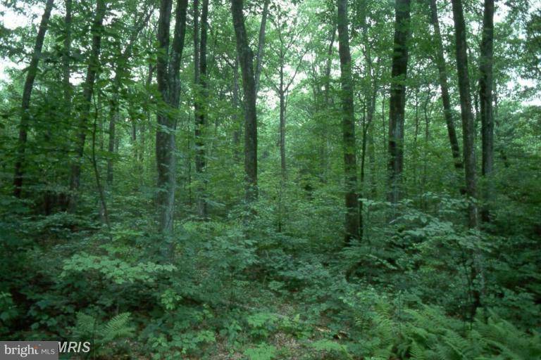 Hedgesville, WV 25427,LOT 24 GLASTONBURY DR