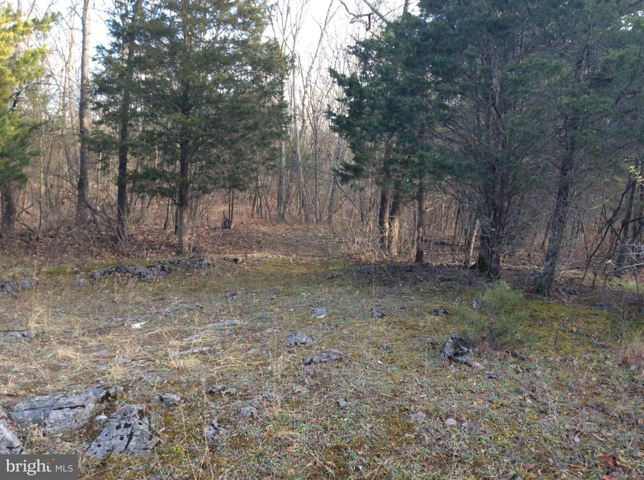 Falling Waters, WV 25419,BELVEDERE LOT 13 CT