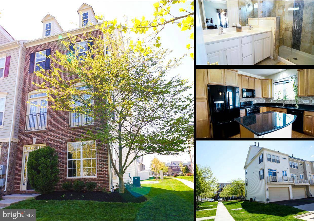 Ashburn, VA 20148,22932 ROSE QUARTZ SQ