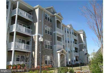 Leesburg, VA 20175,503 SUNSET VIEW TER SE #303