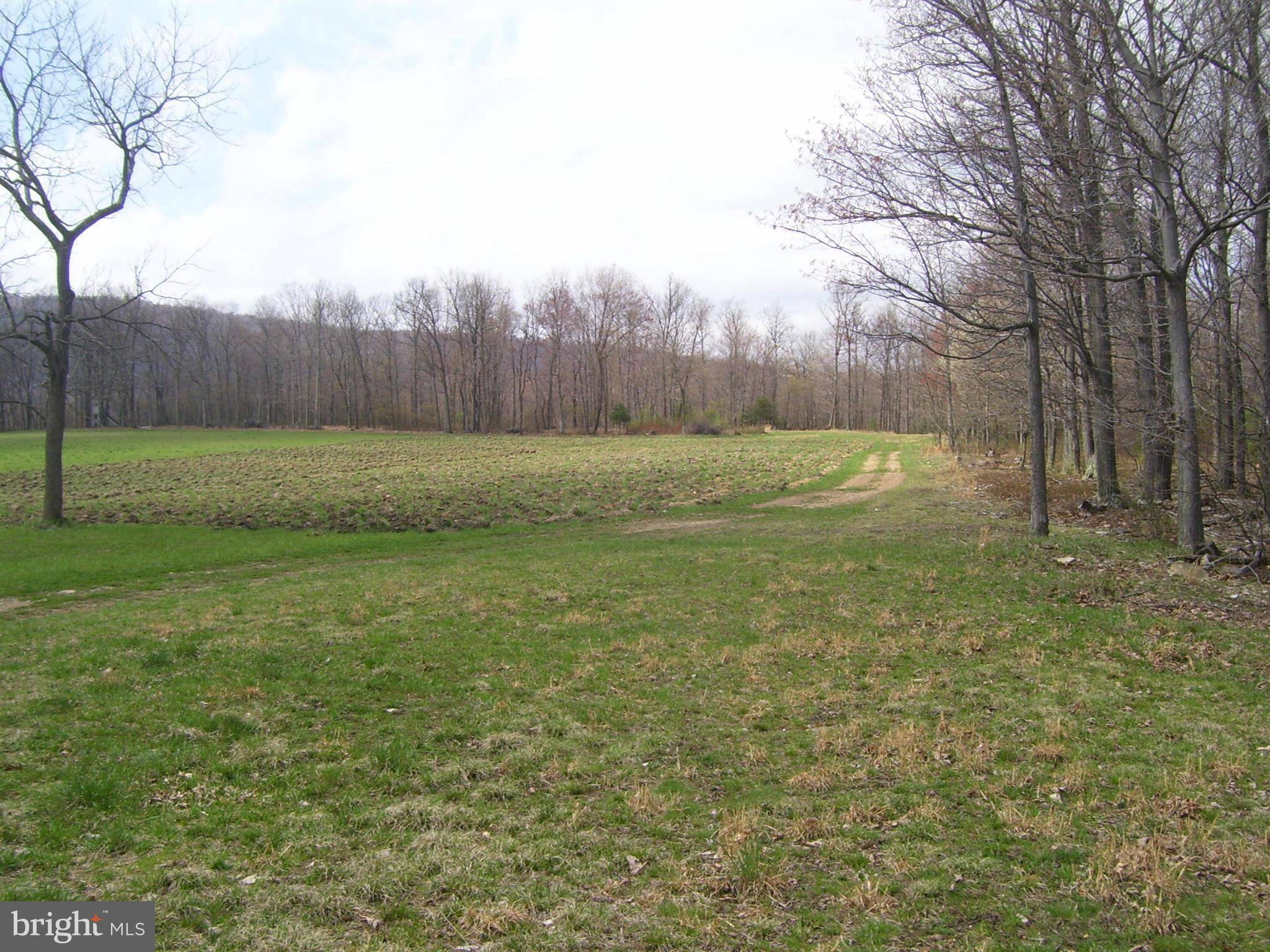 Hyndman, PA 15545,97-AC MOUNTAIN RD