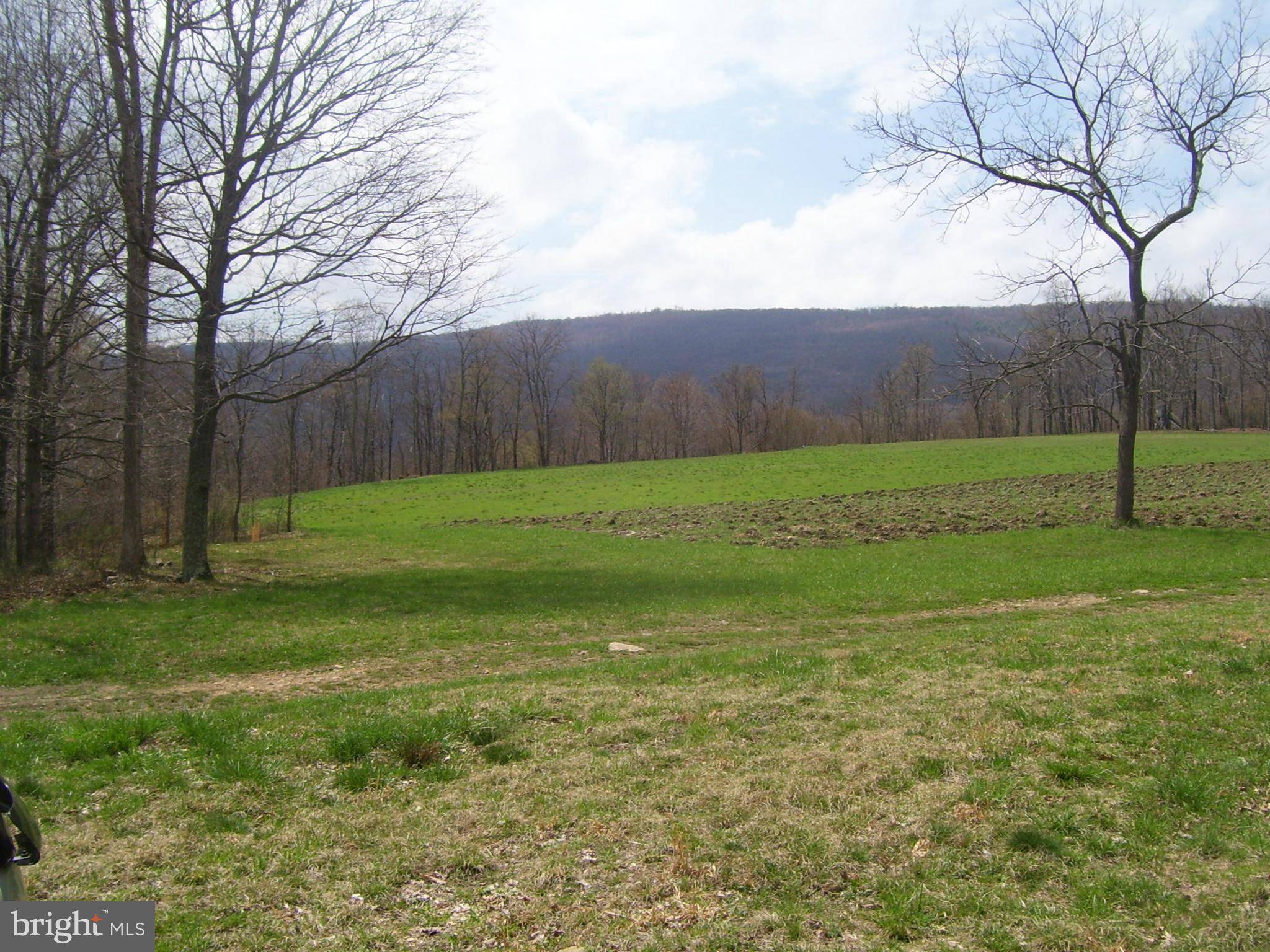 Hyndman, PA 15545,97-AC MOUNTAIN RD