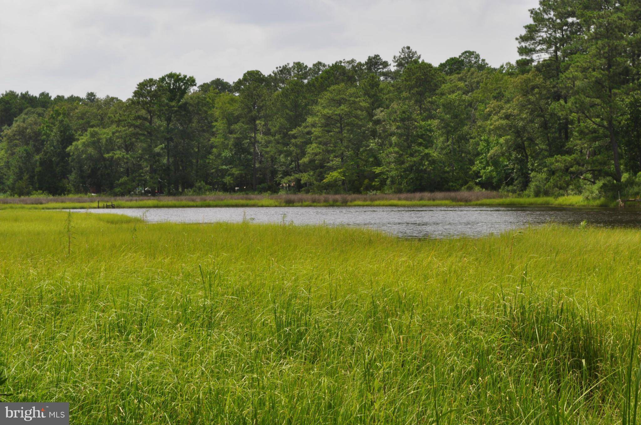 Chesapeake, VA 23323,1710 CHESLIE ARCH