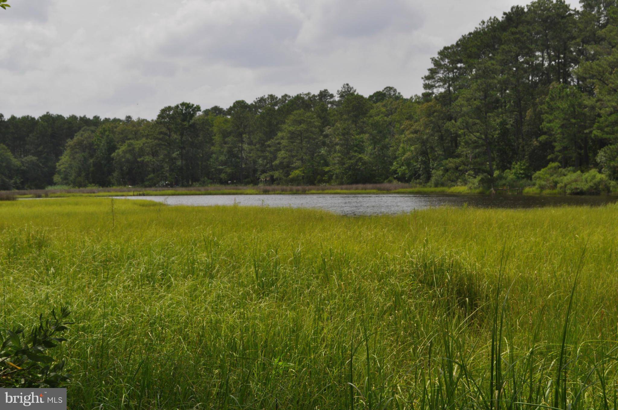 Chesapeake, VA 23323,1708 CHESLIE ARCH