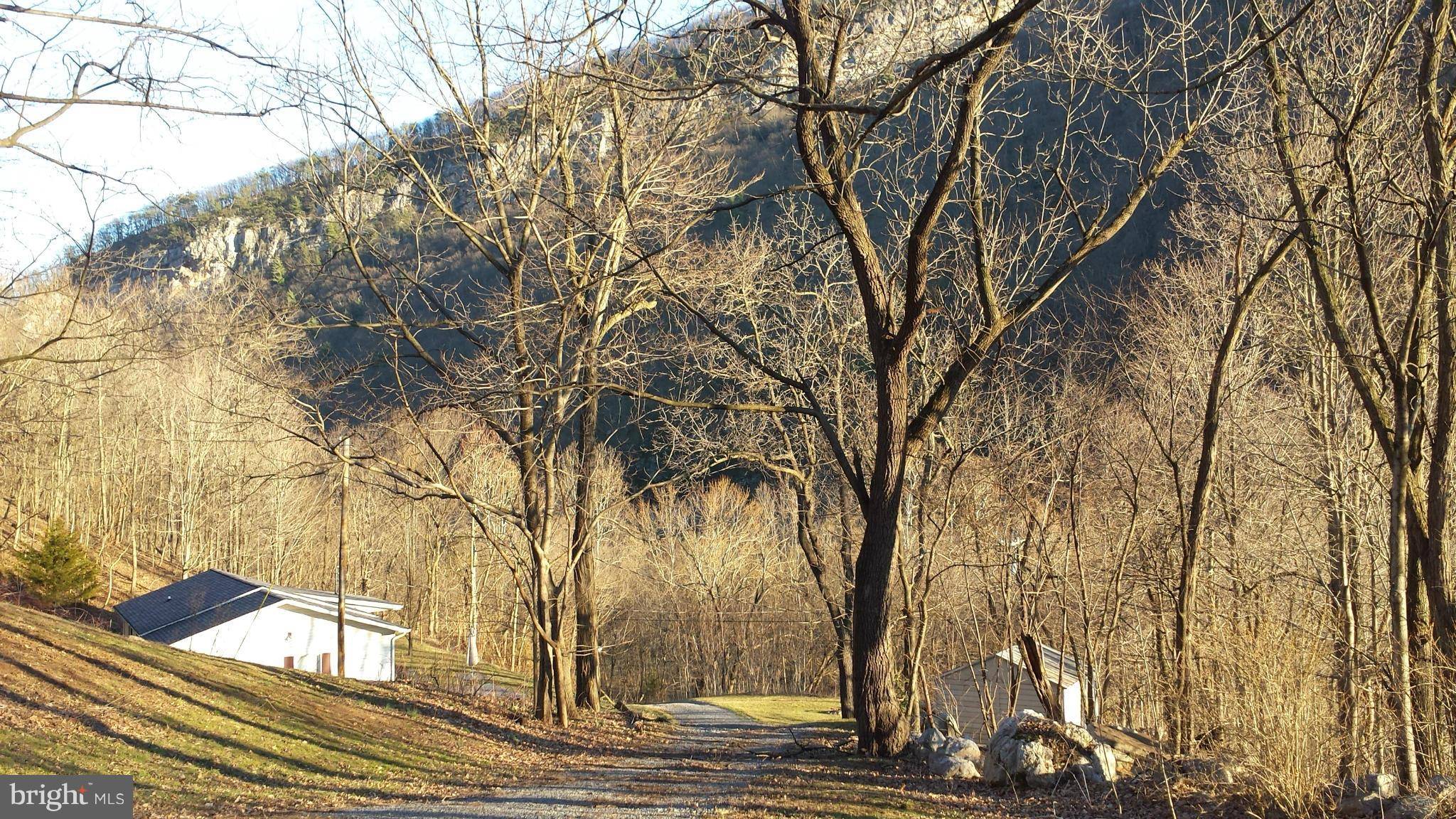 Cabins, WV 26855,110 TURKEY FOOT DRIVE