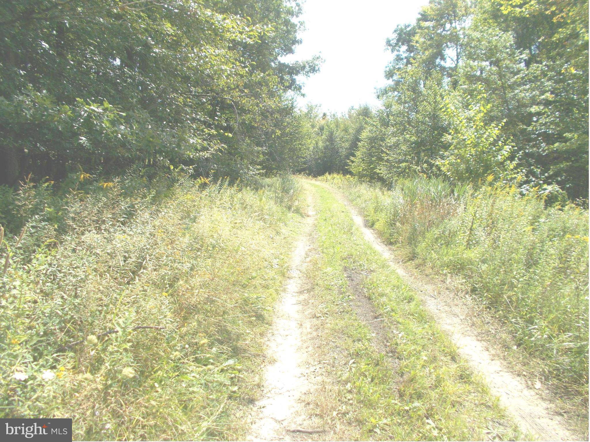 Mount Storm, WV 26739,9 LOT 9 KINGS ACRES