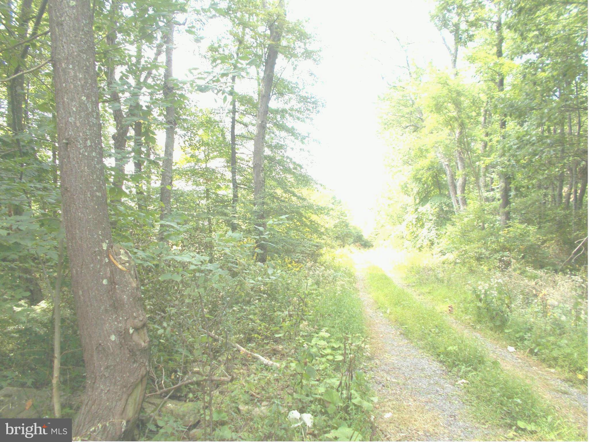 Mount Storm, WV 26739,9 LOT 9 KINGS ACRES