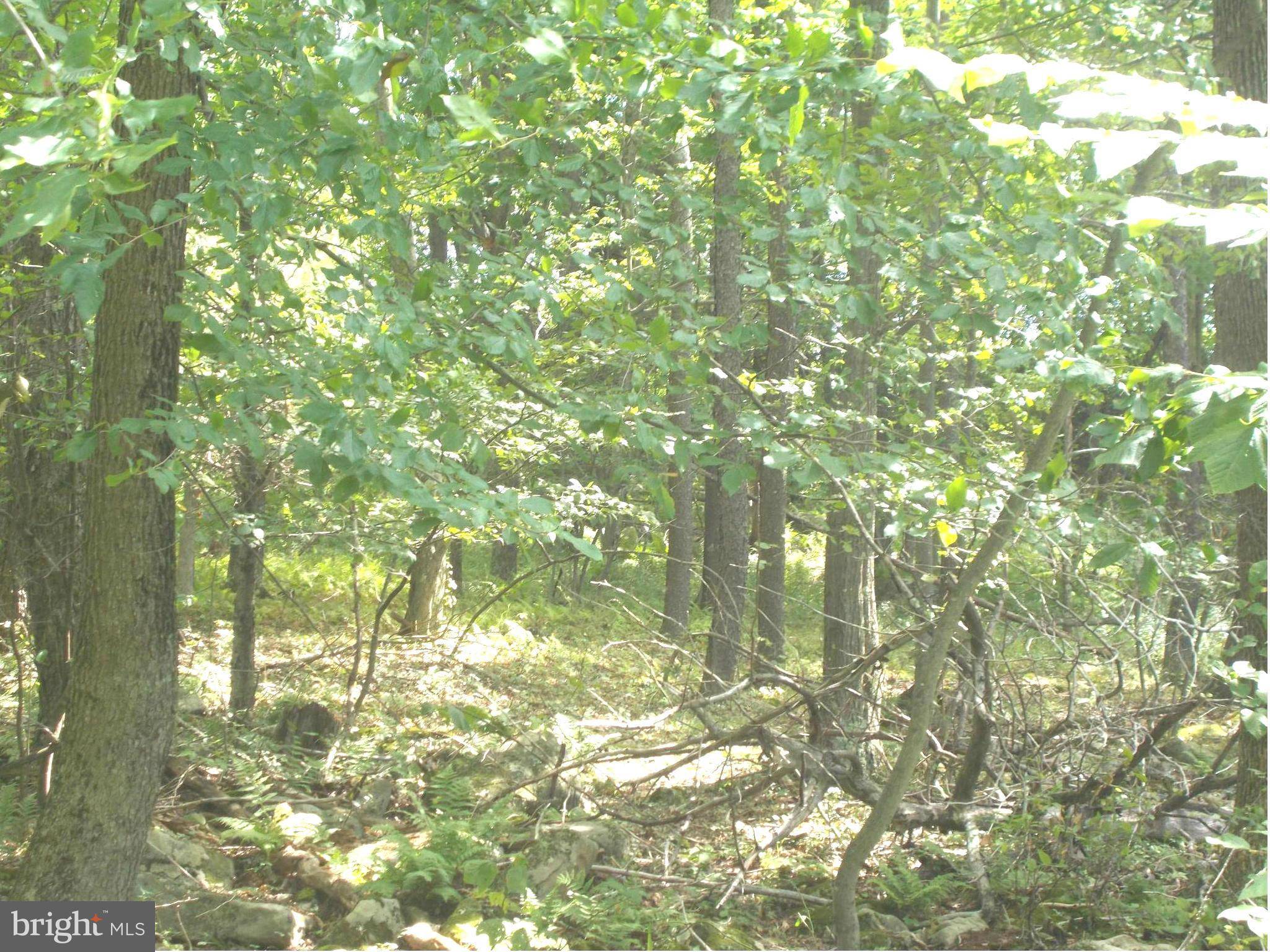 Mount Storm, WV 26739,9 LOT 9 KINGS ACRES