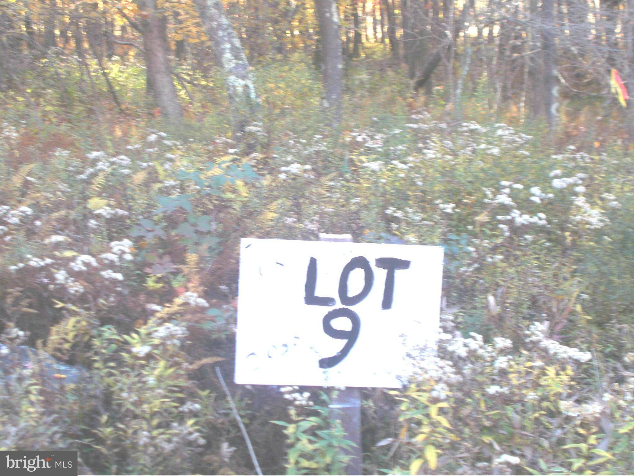 Mount Storm, WV 26739,9 LOT 9 KINGS ACRES