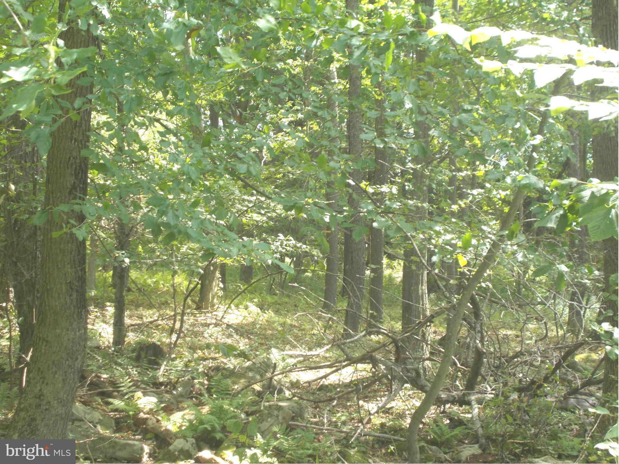 Mount Storm, WV 26739,6 LOT 6 KINGS ACRES