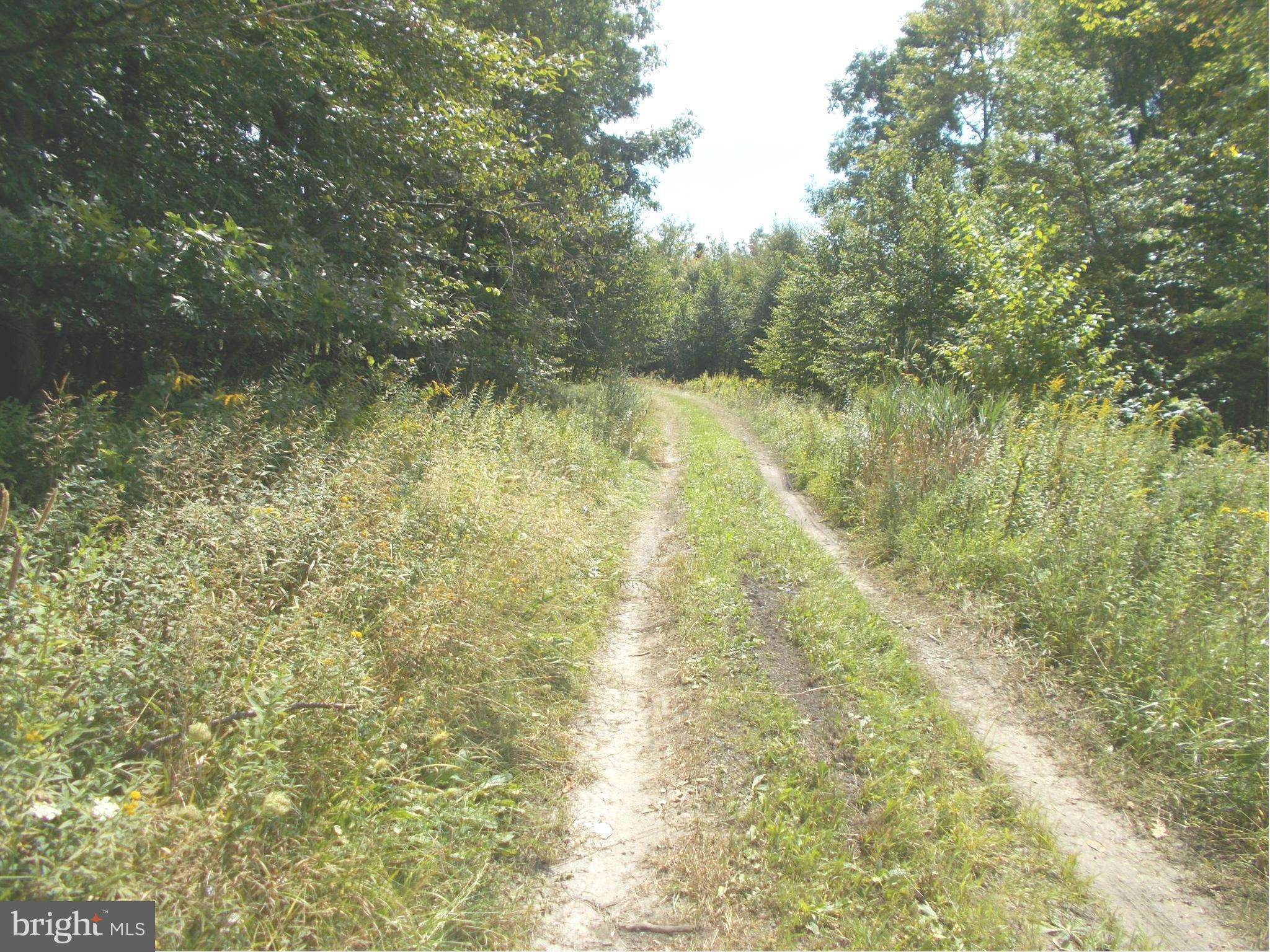 Mount Storm, WV 26739,6 LOT 6 KINGS ACRES